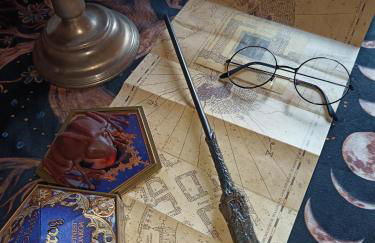 La Pensine du célèbre sorcier - Foto 26