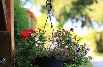 Chambre d'hôtes cosy Le Chalet -Tarn - Foto 27