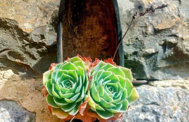 Casa Nayala - Foto 76