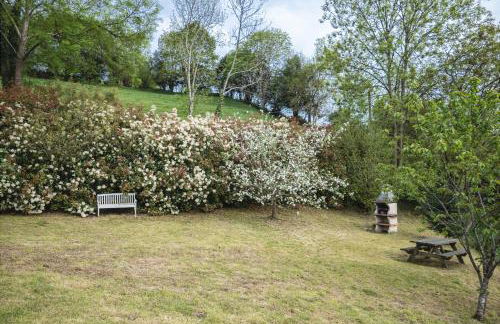 La Coqueta Del Sueve - Photo 59