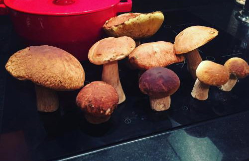 Przystań Piława - Foto 67