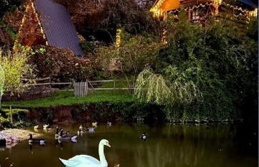 Vale da Silva Villas - Quinta - Foto 25