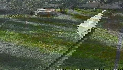 Vila Bashkim - Foto 5, Quarto