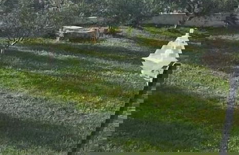 Vila Bashkim - Foto 17