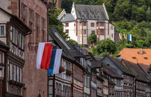 Altstadtzauber Apartments Miltenberg - Foto 70