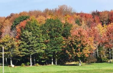 Angel Mist Retreat Entire Place - Foto 8