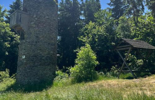 Ferienwohnung Auszeit am Schlossberg - Foto 16