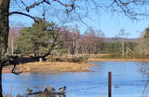 Tanar View - Photo 22