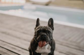 FARIE Mazury Dom na wyłączność dla 20 osób z Basenem, Sauną i Jacuzzi - Foto 25