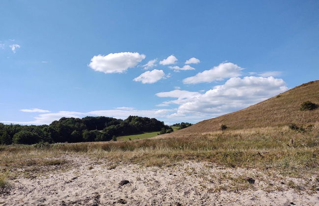 4 Person Holiday Home in Snedsted-by Traum - Foto 10