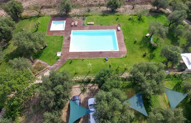 La Gabbianella e il Gatto - Foto 15