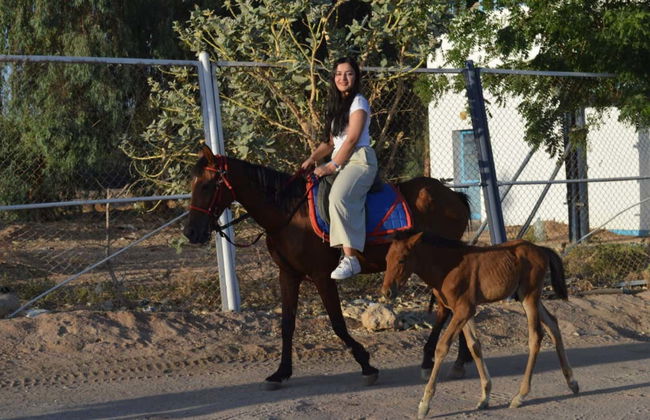 Passeio a cavalo pela costa de Sharm el-Sheikh - Foto 4