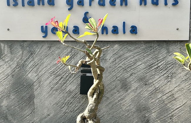 Island Garden Huts & Yoga Shala - Foto 42