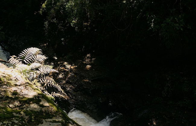 Refugio Marincek - Gonçalves - MG - Foto 29