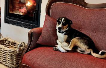 Cascina Il Convivio - Foto 29