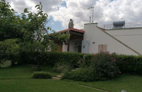 Villa in a lovely olive grove 10 minutes from the sea Ada residence - Foto 13