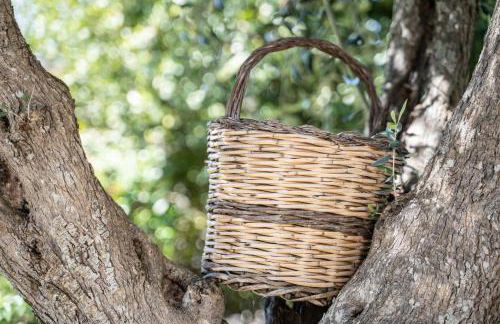 Trullo Leone - Foto 53