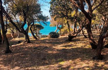 Roc Villa Castiglioncello - Private Villa with 2 Beaches and Park - Photo 50