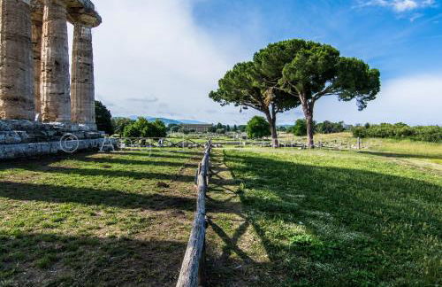 Casa Delle Rose - Foto 33