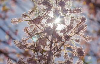 Chalé Flores e Amores - Photo 44