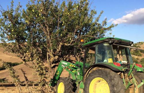 Agriturismo San Pietro - Foto 117