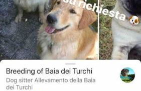 The Green House Suite & Apartment - Foto 52