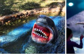 The Bishops Haven 4 - Foto 43