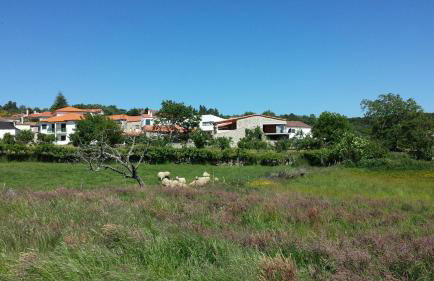 Casas de Campo da Barroca - Foto 80