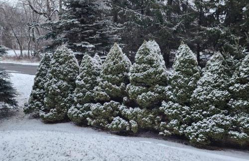 Pocono Retreat Movies Games Spacious - Foto 70