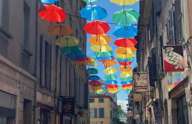 Mas Vigneron - Foto 14