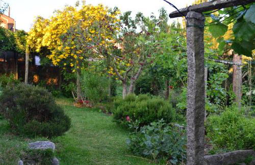 Casa do Mestrinho - Foto 41