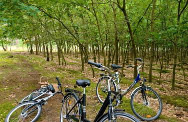 Ferienbungalows am See - Photo 36