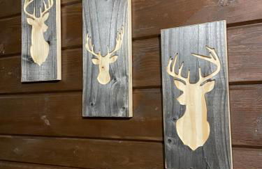 Livata - Campo dell’Osso...nel bosco a 1.700 metri - Photo 40