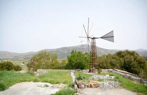 Vasilikata - Foto 86