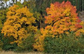 Alte Ölmühle FeWo im OG "Inselsberg" im Herzen des Thüringer Waldes - Foto 16