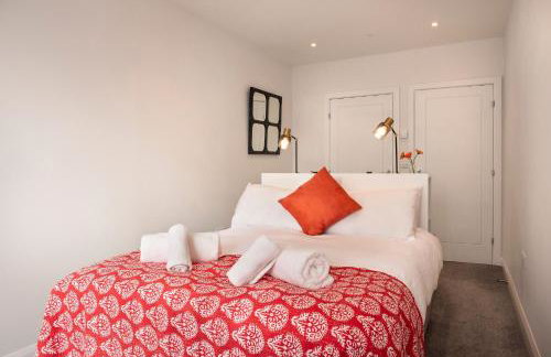 Cormorant - Photo 13