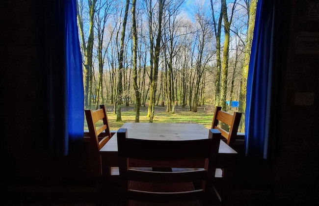 Bungalows da Peneda - Foto 6