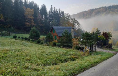 Domek za lasem - Photo 2