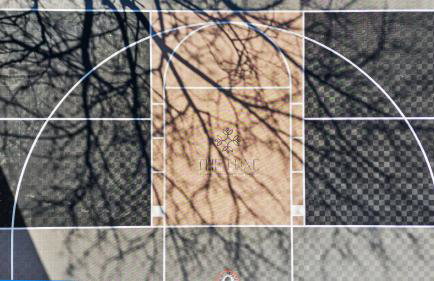 The Luxe/Pickleball/Basketball/ Hot Tub/Horse Park - Foto 16