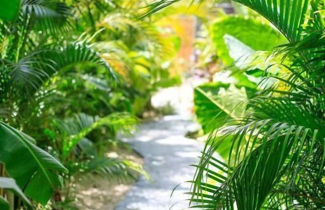 Lua Villas - Foto 69