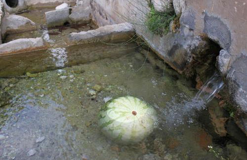 El Molinet del Governador- Apartamentos Rurales - Photo 22