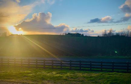 Gracehill Lodge - Guest Accommodation - Foto 4