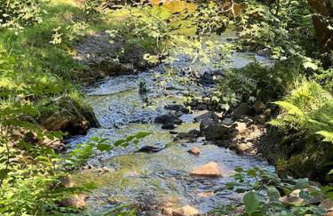 Zimmermanns Zuhause in Altenau - Foto 24