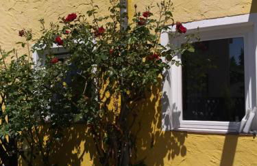 gelbeshaus1 - Foto 9