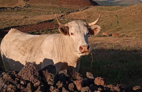 Casa Ben Abora - Foto 17