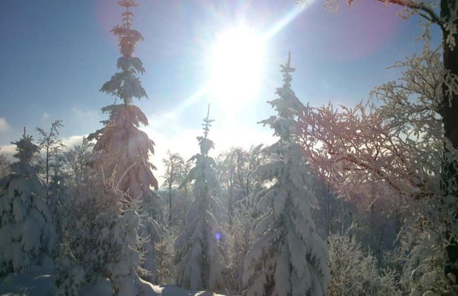 Comfortable Holiday Home With Sauna and Billiards, Near the Slopes - Photo 34