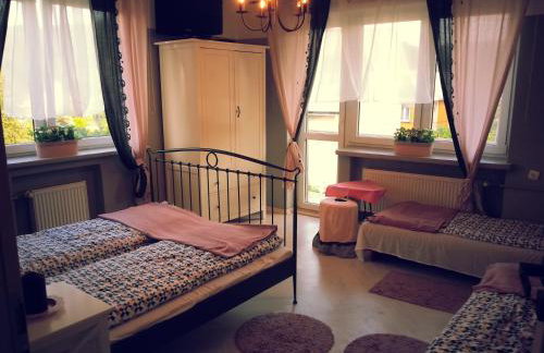 Agroturystyka Bliźniaczek - Foto 30