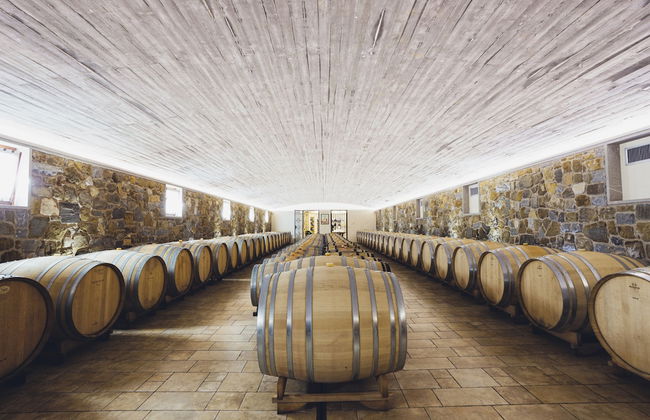 Il Roncal Wine Resort - Foto 29