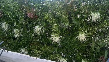 Love room #BBSH - Foto 4