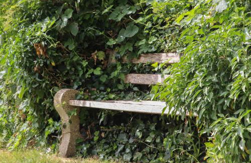 Oast Cottage - Foto 63